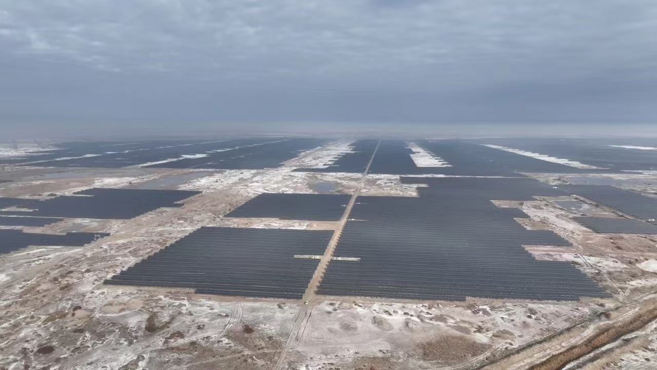 1733713778230989.jpg 21514115d59f0c948b41d8e18bc525e.jpg